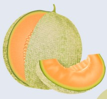 foire_melons